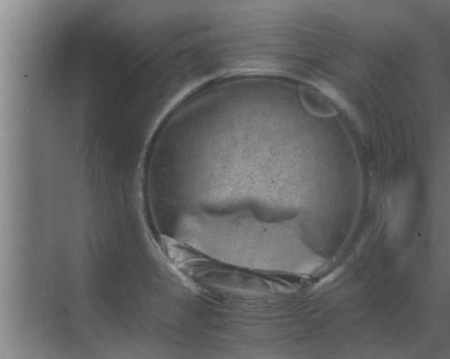 X0000069801325200605261712