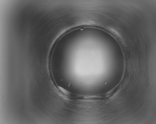 X0000069801326200605261712