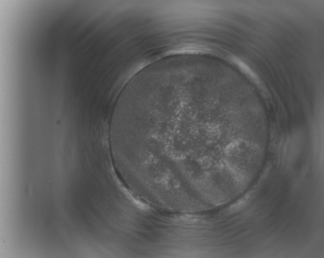 X0000069801329200605261712