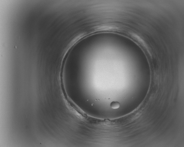 X0000069801330200605261712