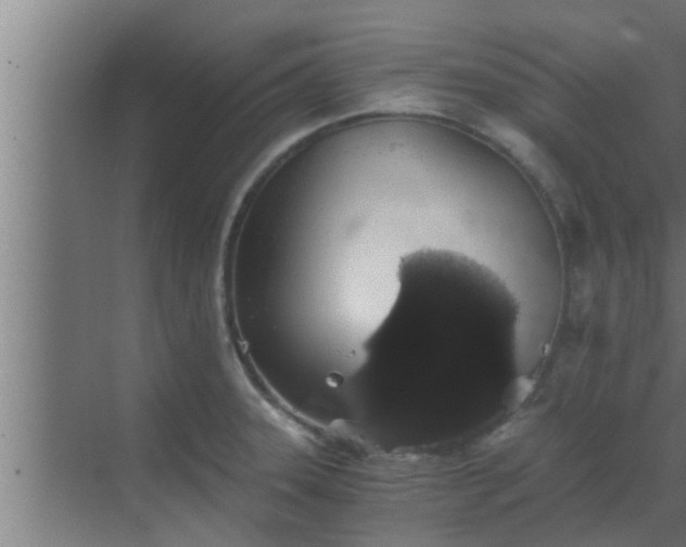 X0000069801331200605261712