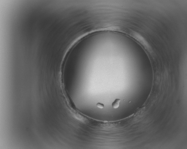 X0000069801332200605261713