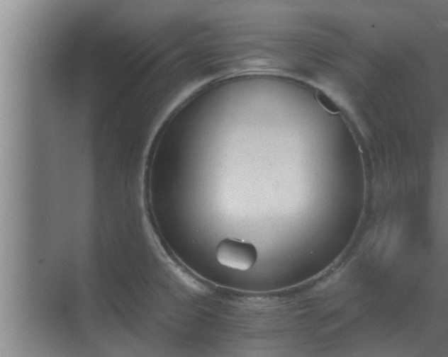 X0000069801333200605261713