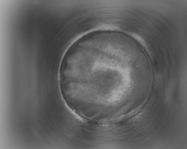 X0000069801335200605261713