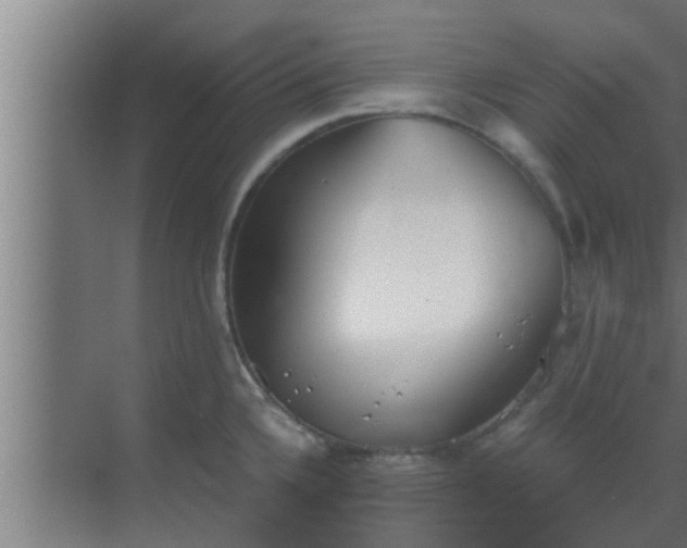 X0000069801336200605261713