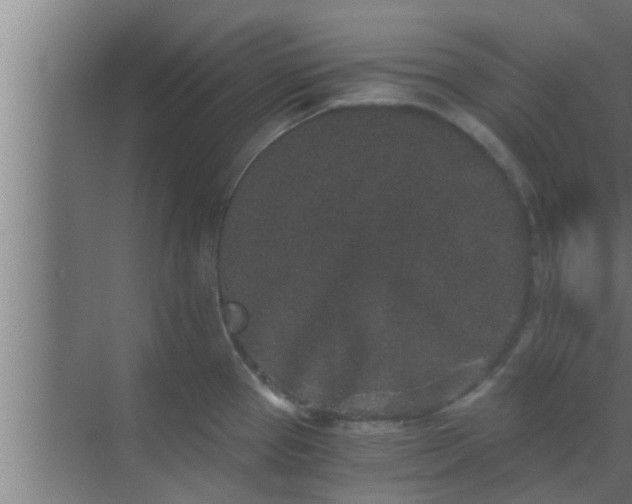 X0000069801337200605261713