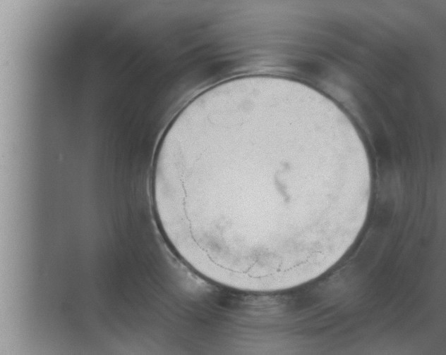 X0000069801338200605261713