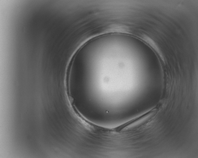 X0000069801339200605261713