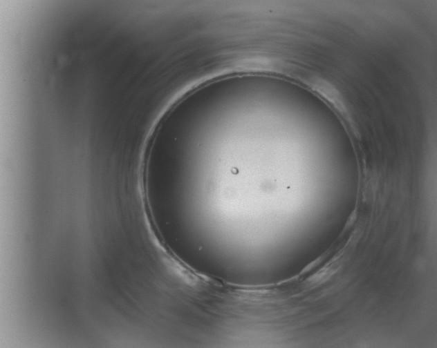 X0000069801342200605261713