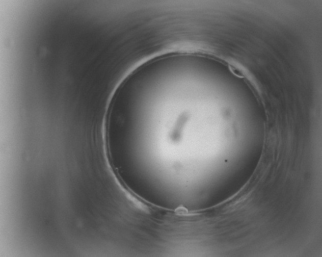 X0000069801343200605261713