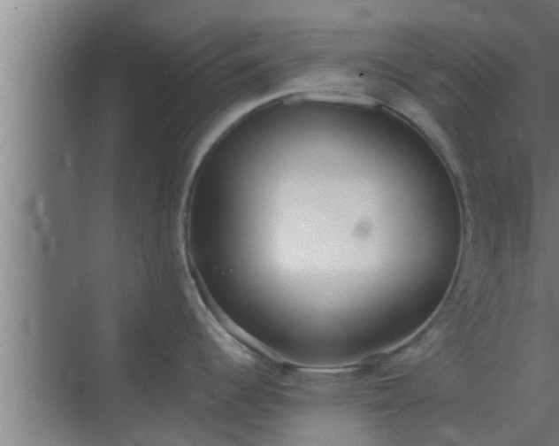 X0000069801344200605261713