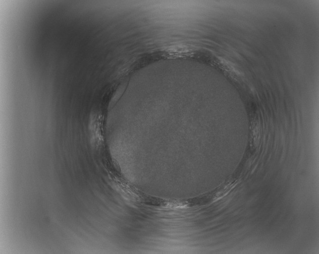 X0000069801346200605261712