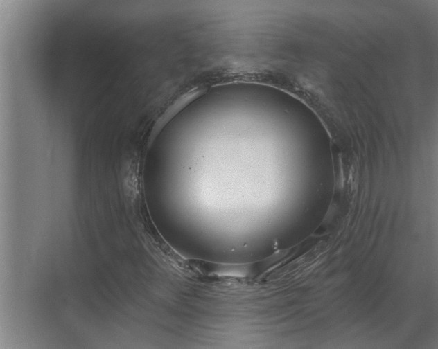 X0000069801348200605261712