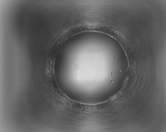 X0000069801349200605261712