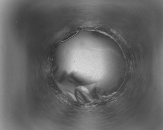 X0000069801350200605261712