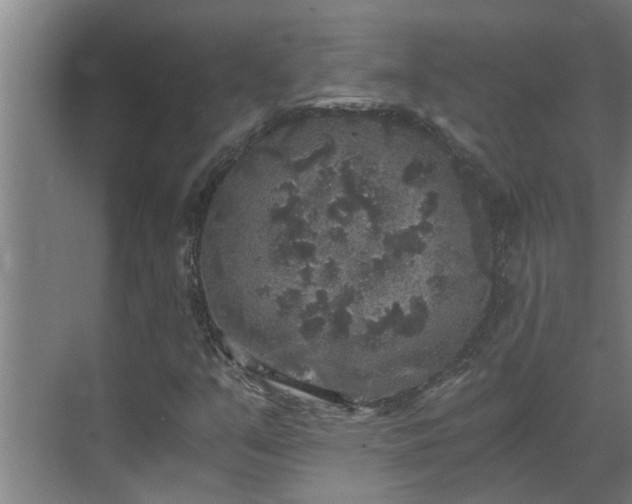 X0000069801351200605261712