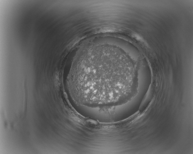 X0000069801353200605261712