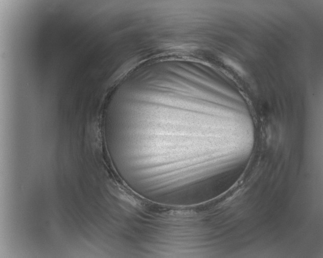 X0000069801354200605261712