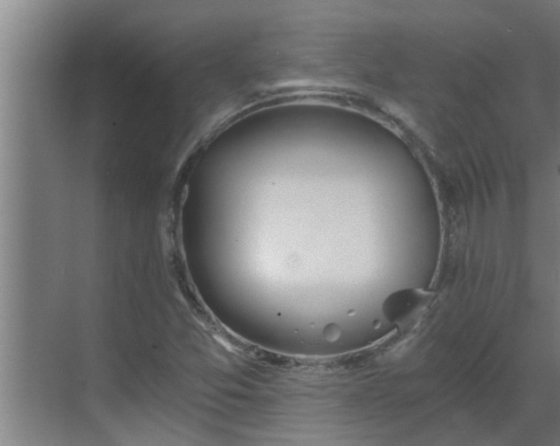 X0000069801357200605261712