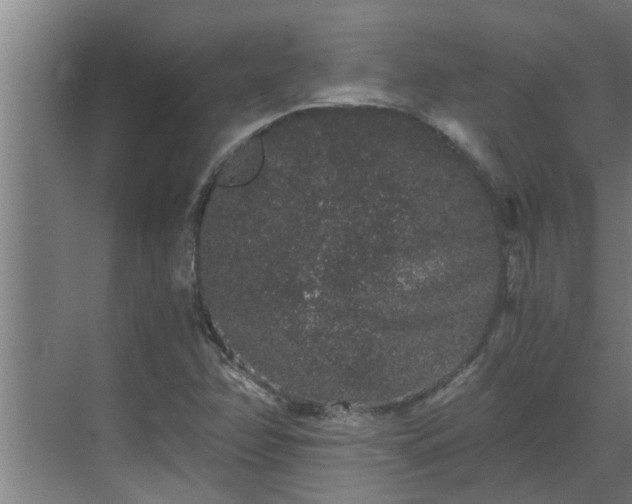 X0000069801358200605261712