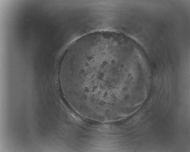 X0000069801359200605261712