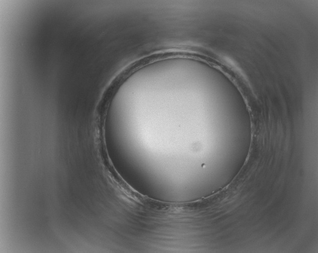 X0000069801360200605261712