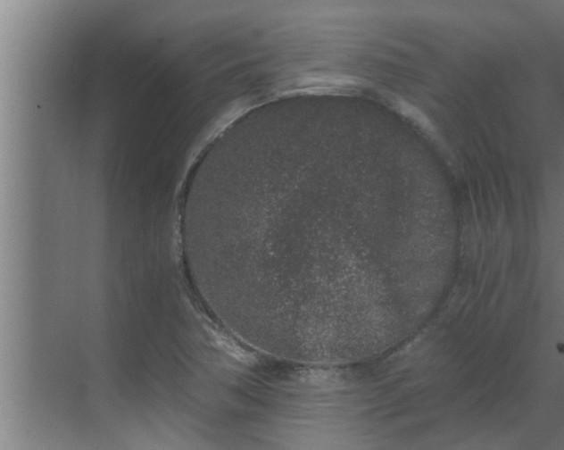 X0000069801362200605261712