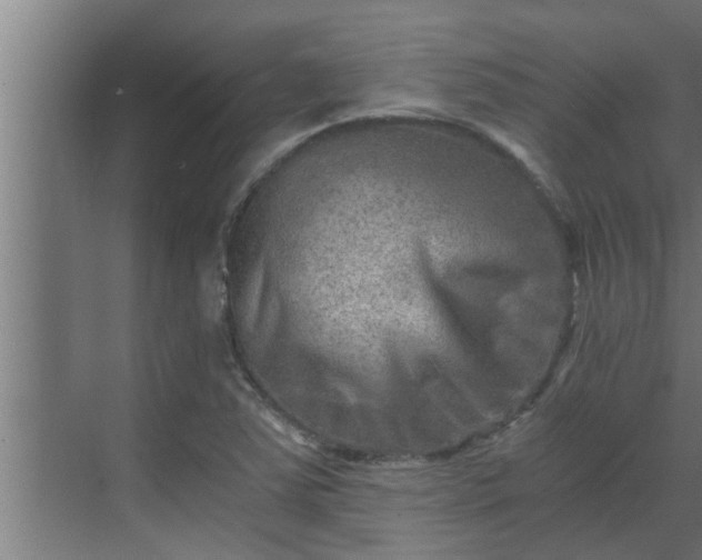 X0000069801363200605261712