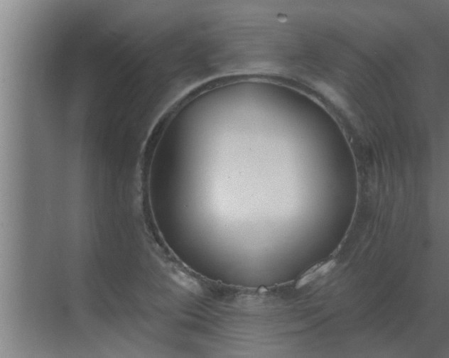 X0000069801364200605261712