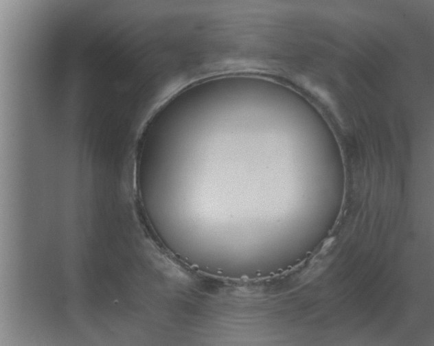 X0000069801365200605261712