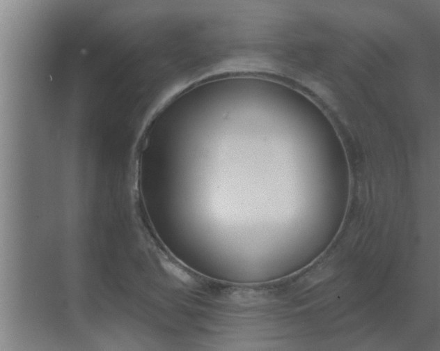 X0000069801366200605261712