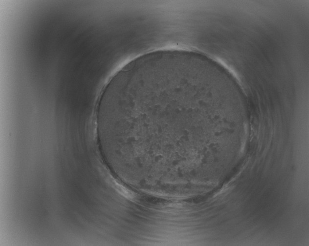 X0000069801367200605261712