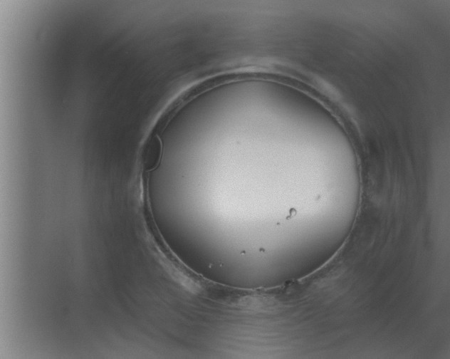 X0000069801368200605261712