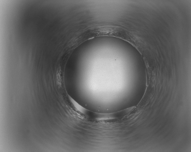 X0000069801394200605261710