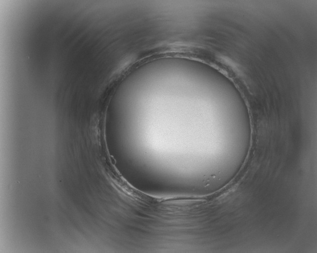 X0000069801403200605261710