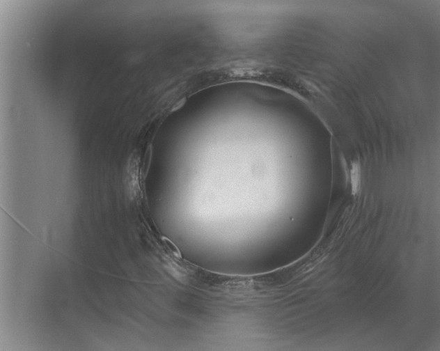 X0000069801444200605261710