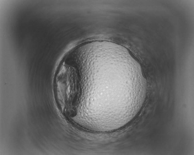 X0000069800006200606021451