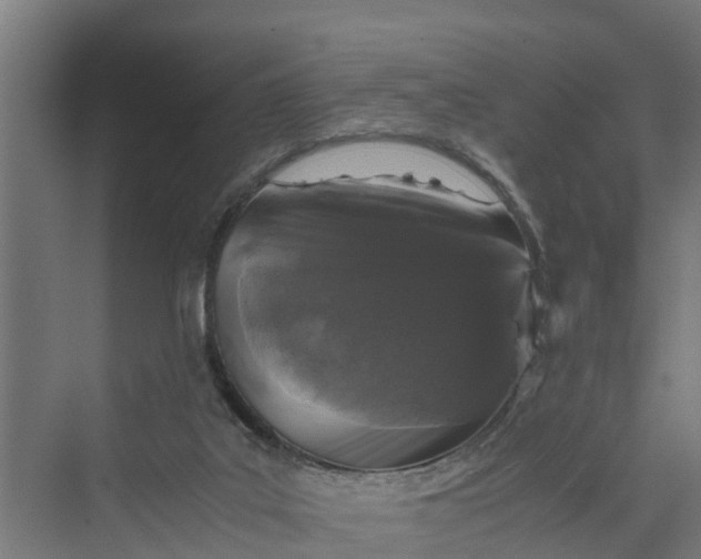 X0000069800019200606021451