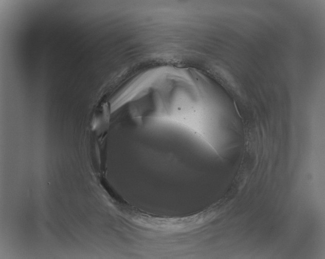 X0000069800023200606021451