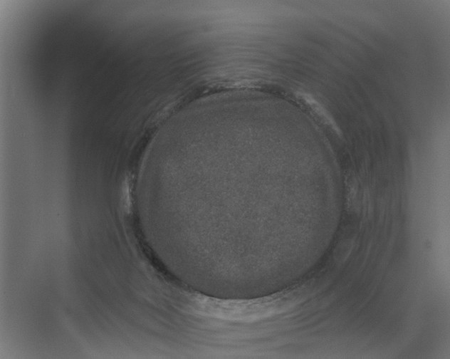 X0000069800026200606021451