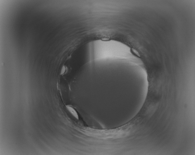 X0000069800027200606021451