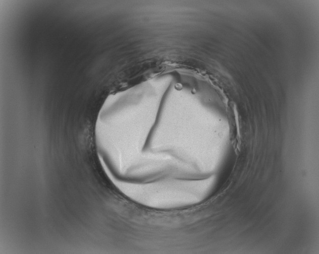 X0000069800029200606021451