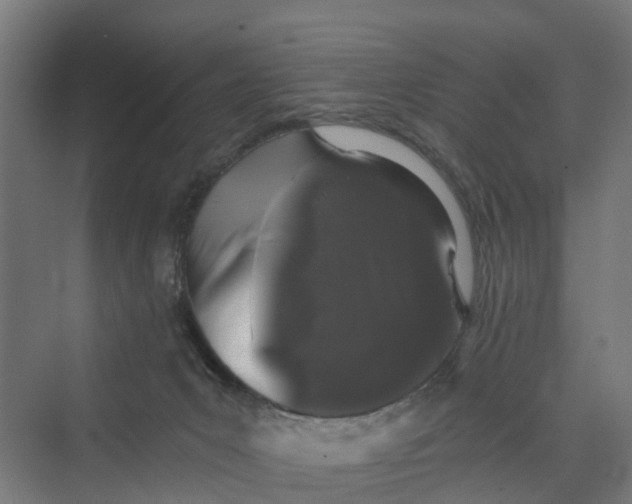 X0000069800031200606021451