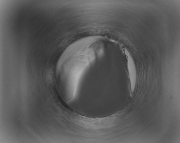 X0000069800035200606021451