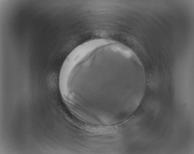 X0000069800036200606021451