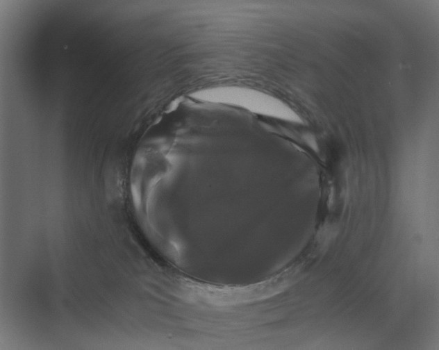 X0000069800039200606021451