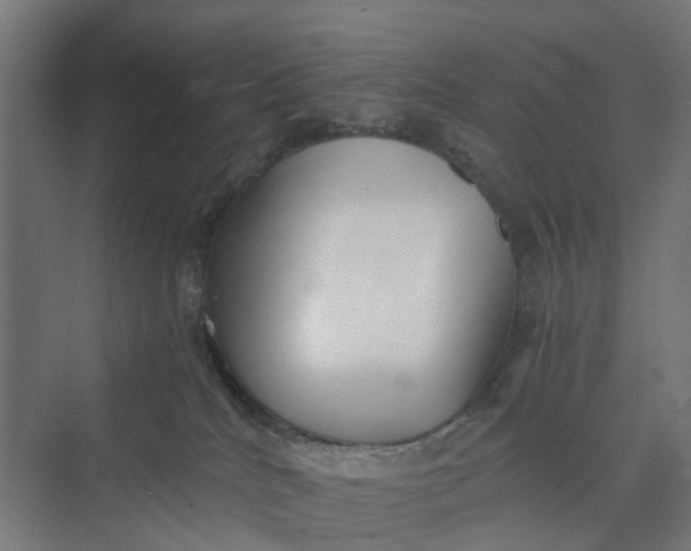 X0000069800040200606021451