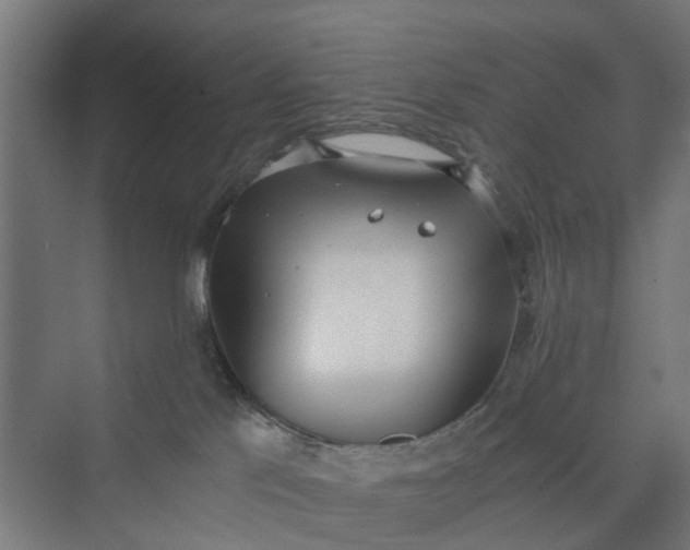 X0000069800041200606021451