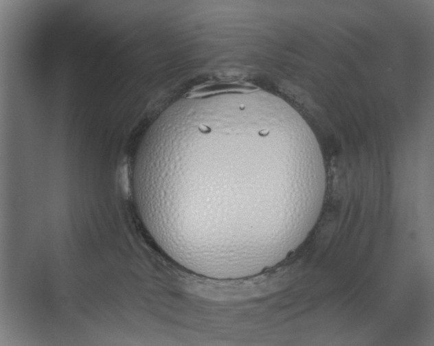 X0000069800042200606021450