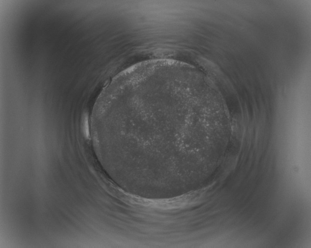 X0000069800046200606021450